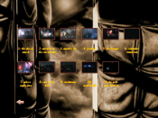 Screenshot Preview