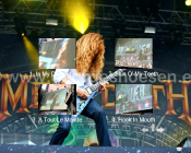 Screenshot Preview