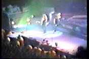 Screenshot Preview