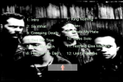 Screenshot Preview
