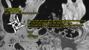 Screenshot Preview