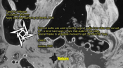 Screenshot Preview