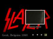 Screenshot Preview